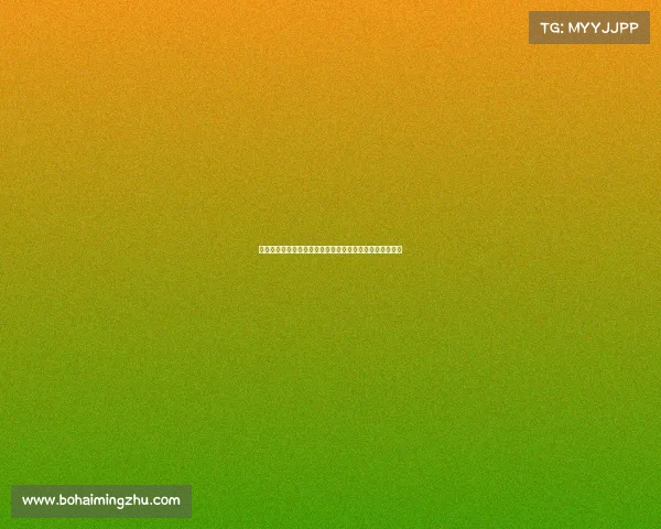 健美赛事规划大师课全面解析组织预算控制及风险评估策略